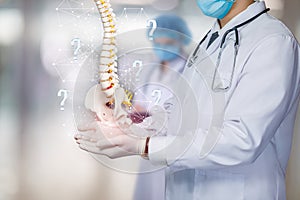 The concept of diagnosis of diseases of the spine