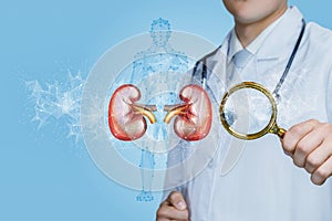 Concept of diagnosis and treatment of kidney disease