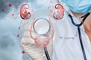 The concept of diagnosis and treatment of the urinary system