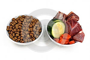 Concept for different dog feeding methods with bowl with dry food kibbles and bowl with chunk of raw meat and vegetables