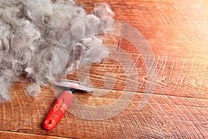 Concept Dogs Shed spring shedding grooming season. De shedding tool - rakers brush for Dog. Slicker brushes on floor.