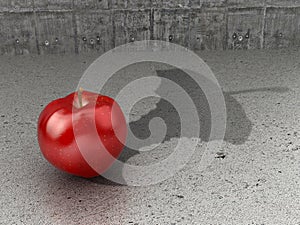 The concept of duplicity and duality.