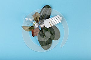 Concept Eco energy-saving fluorescent lamp advantages over an incandescent lamp. Two lamps lying near to fresh and died