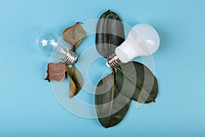 Concept Eco energy-saving fluorescent lamp advantages over an incandescent lamp. Two lamps lying near to fresh and died