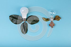 Concept Eco energy-saving LED lamp advantages over an incandescent lamp. Two lamps lying near to fresh and died lives of