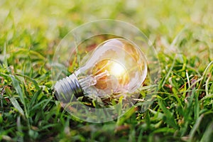 concept eco light bulb on green grass