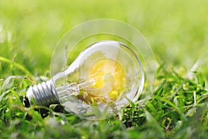 concept eco light bulb on green grass with idea saving power ene