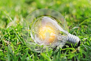 concept eco light bulb on green grass with idea saving power ene