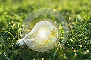 concept eco. lightbulb on green grass with sunset and bokeh back