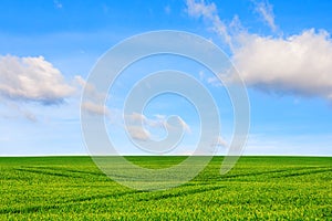 Concept of ecology. Meadow and sky