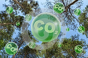 The concept of ecology. Reduced carbon emissions