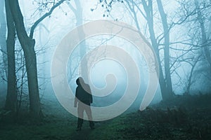 A concept edit of an eerie spooky figure without a face, standing in a foggy winters forest