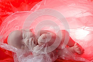 Concept embryo, abortion photo