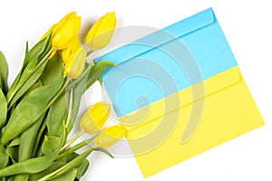 The concept of ending the war in Ukraine. Blu and yellow envelope and yellow tulips on white background