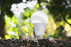 concept energy saving lightbulb with plant growing and money sta