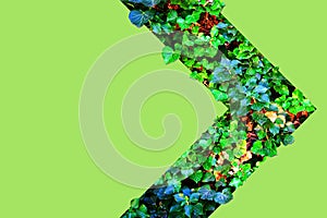 Concept, environment. Green abstract arrow made of leaves on a green background. Copy space. Environment protection