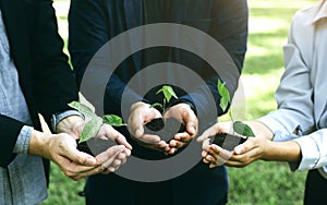 Concept of the Environment World Earth Day. Business hands holding green plants in soil together are the symbol of green business