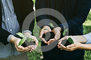 Concept of the Environment World Earth Day. Business hands holding green plants in soil together are the symbol of green business