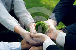 Concept of the Environment World Earth Day. Hands holding green earth, Saving environment, and environmentally sustainable
