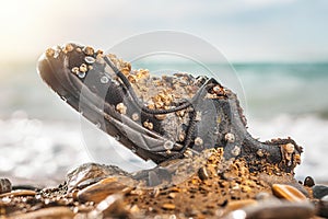 Concept of environmental protection and pollution. An old Shoe, covered with shells, lies on the beach, in the sand. In the