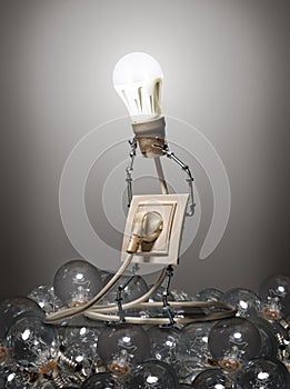 The concept of evolution light bulbs