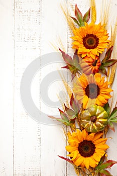 Concept of fall harvest or Thanksgiving day. Autumn composition with pumpkins,wheat ears and  sunflowers on white wooden table.