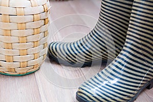 The concept of the fall, work in the garden, place for text, striped rubber boots for work or walking in rainy weather. top view