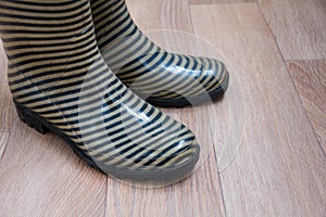 The concept of the fall, work in the garden, place for text, striped rubber boots for work or walking in rainy weather. top view