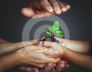 Concept of family, kindness and parenting. Hands of mother and f