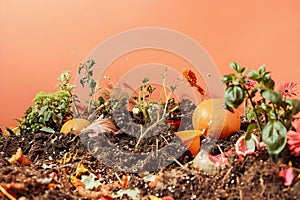 Concept Food composting, Peach background with open compost bin filled with organic waste
