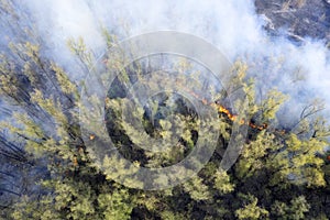concept of forest fires. Burning forest top view aerial view. White smoke is coming from the forest