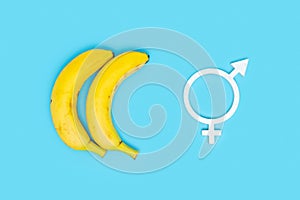 The concept of free same-sex love and gender equality. Two bananas and a gender equality symbol on a blue background