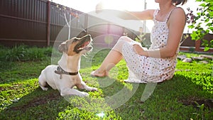 Concept of friendship and pets. Happy young woman and dog having fun at grass