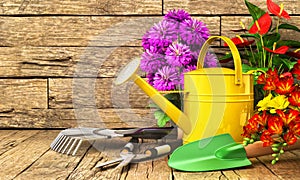 Concept of gardening. Gardening tools (Watering can, shovel, rake, flowers and scissors) on the wooden table. 3d illustration