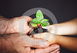 Concept generation and development. elderly man and baby holding