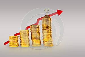 Concept gold coin money grow up, with graph going up