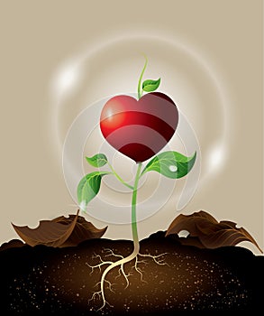 Concept of green sprout growing from heart.