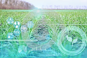 The concept of growing crops in the field, monitoring and analyzing data using sensors and artificial intelligence to obtain a