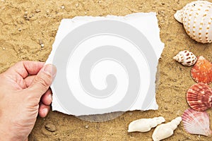 Concept hand holding a blank white paper on a brown sand and shell background,blank paper for your letter