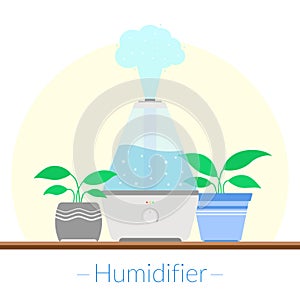 The concept of healing, purity and maintaining air humidity
