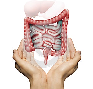 The concept of a healthy bowel. photo