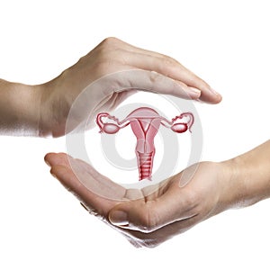 The concept of a healthy female reproductive system.