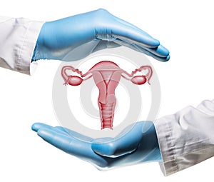 Concept of a healthy female reproductive system