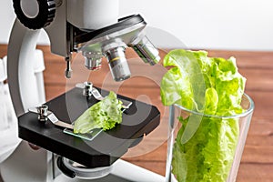 Concept healthy food inspection herbs in laboratory