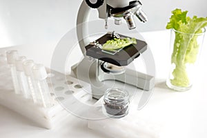 Concept healthy food inspection herbs in laboratory