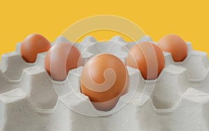 Concept healthy food,  Isolated fresh chicken eggs in paper tray on yellow background