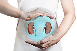 Concept of healthy kidneys and  organ donation