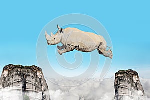 Concept of heavy rhinoceros jump between mountains rocks