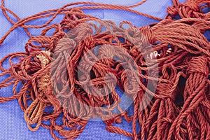 The concept of hedonism, adult rope play and BDSM lifestyle with a close-up on a red ropes used in the Japanese erotic