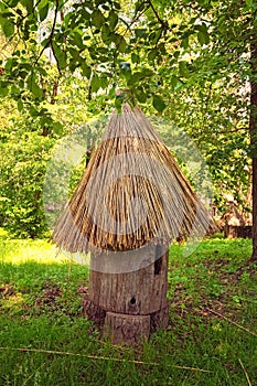 Concept of historical buildings of ancient Ukraine. An ancient bee hive. It made from a trunk of old tree with a thatched roof. photo